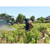 Combinaison de travail lavable POLYAGRI - OUVRY