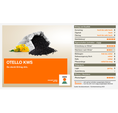 KWS Otello | Hybrider Winterraps