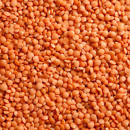 Lentille corail - Rosana - BIO