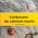 Carbonate de calcium Marin non séché | CaCO