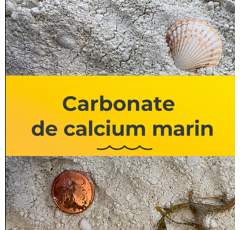 Carbonate de calcium Marin non séché | CaCO