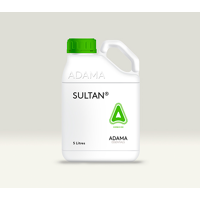 SULTAN
