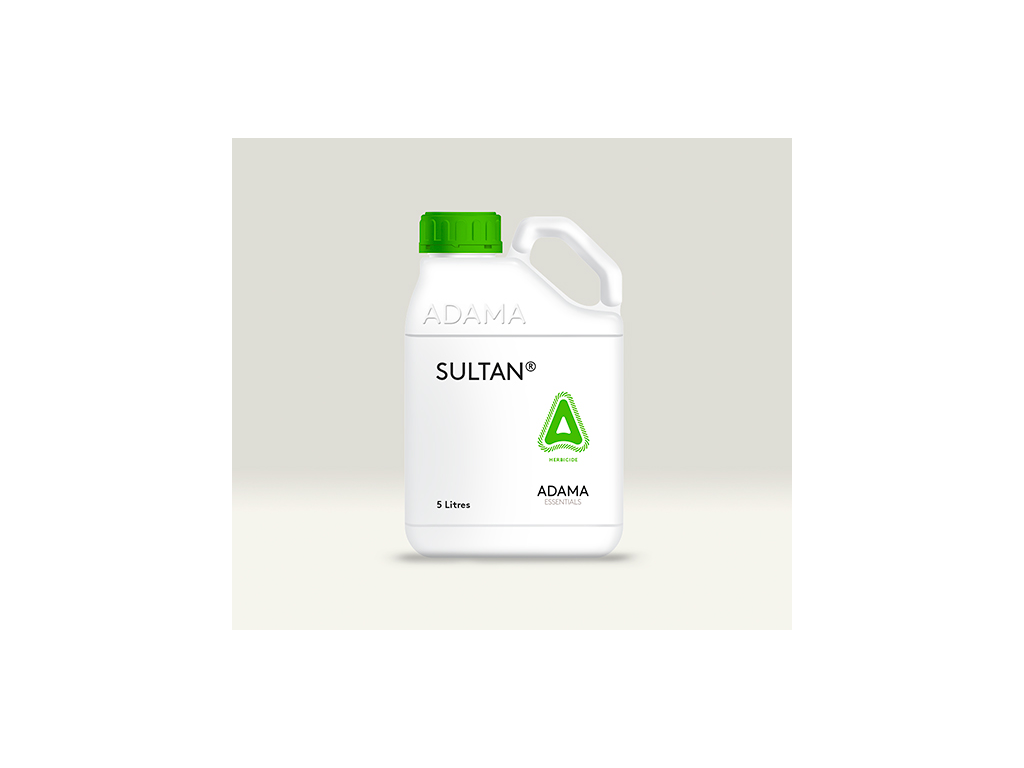 SULTAN