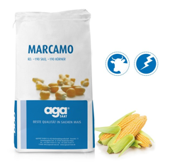 Saatmais - Marcamo (S190 K190) AGASAAT