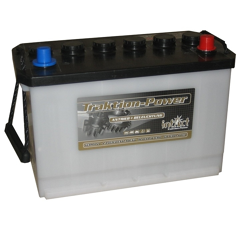 Batterie 12 V 80 AH 95805GUG Intact