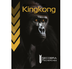 Winterweizen King Kong  B-Weizen