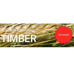Cebada Alternativa - Timber