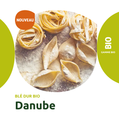 Blé dur - Danube - BIO