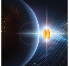 Blé tendre d'hiver - KWS Etoile