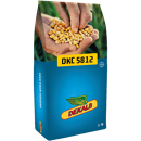 Maïs grain 570 - DKC5812