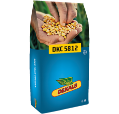 DKC 5812 - Maïs 560-580 - G5/G6 : Grain tardif à très tardif