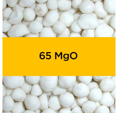 Oxyde de Magnésium 65 %