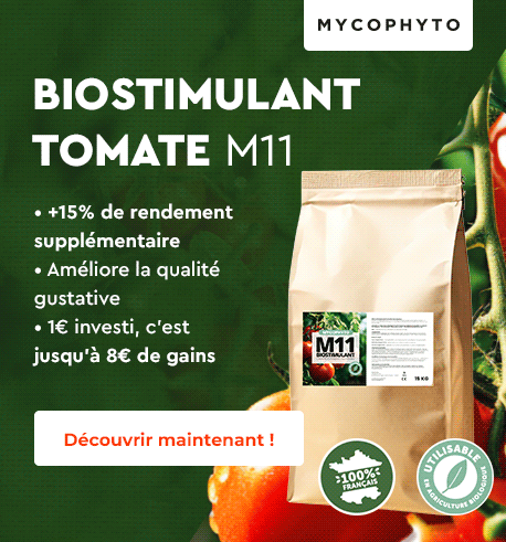 MYCOPHYTO_HOME_102025