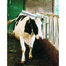 Brosse étable en nylon avec logette - VINK