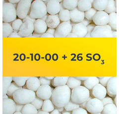 20-10-00 + 26 SO3