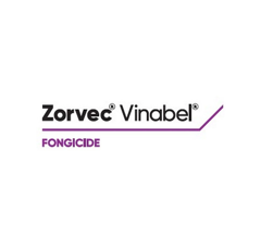 ZORVEC VINABEL | Fongicide