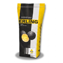Erling I Erucaraps