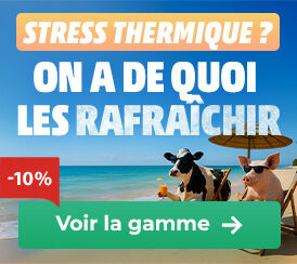 AGRICO_NUTRITION_stress-thermique_090625