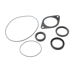 Dichtsatz, paassend zu MEC 5000, MEC 6500, MEC 8000 Battioni & Pagani