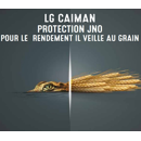 Orge d'hiver fourragère - LG Caiman
