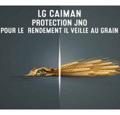 Orge d'hiver fourragère - LG Caiman - BIO