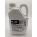 EVEREST - Générique Etheverse.