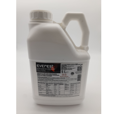 EVEREST - Générique Etheverse.