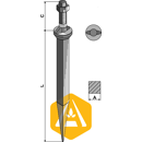 Dent de herse au bore 170 mm collet ovale - adaptable - Blacksteel©