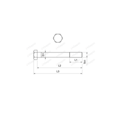 Vis de culasse MASSEY FERGUSON 747741M1 adaptable