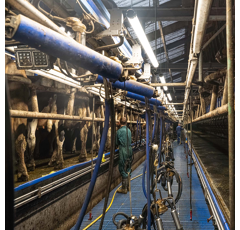 LED Stallleuchte Feuchtraumleuchte 40W 150cm