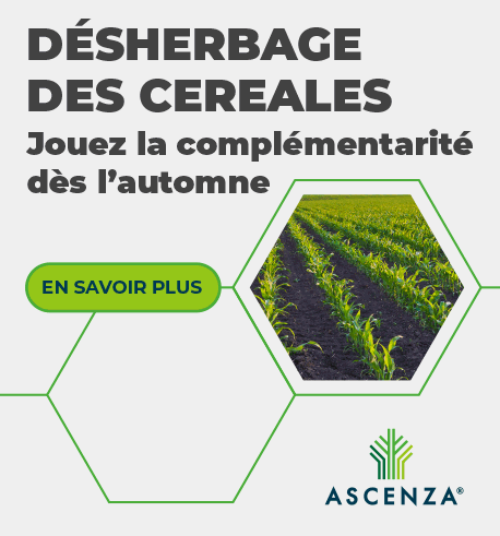 202606_ASCENZA_HOME