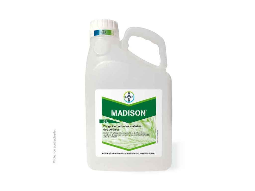 MADISON