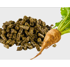 Pulpe de Betterave Déshydratée - Vrac - Pellets de 6mm