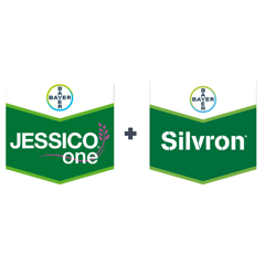 Pack JESSICO ONE  (2 x 5L) + SILVRON (1 x 5L) | Fongicide céréales