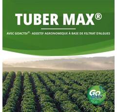 Biostimulant pomme de terre : Tuber Max® à base de GoActiv®