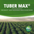 TUBER MAX® à base de GoActiv® - Biostimulant pomme de terre