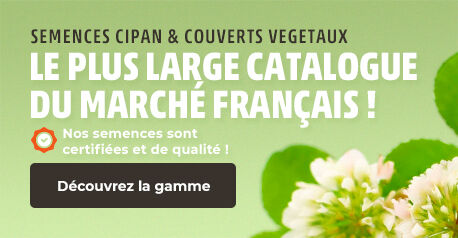 Semences CIPAN et couverts végéteaux