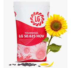 Tournesol oléique demi-précoce - LG 50.625