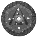 Disque d'embrayage libre Ø 250 mm pour tracteur DAVID BROWN HB3113 adaptable