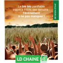 Blé tendre d'hiver - LD Chaine - BIO