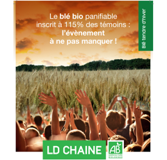 Blé tendre d'hiver - LD Chaine - BIO