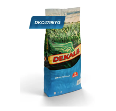 Maíz grano FAO 300 - DKC4726YG