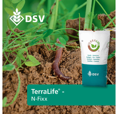 Zwischenfruchtmischung - TerraLife N-Fixx