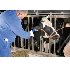 Pince pour boucles Ukal-Flex avec pointeau