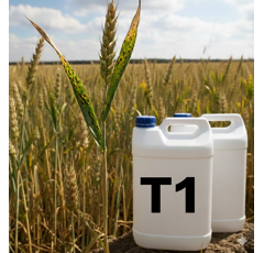 T 1 Kraftpaket (10 L Tebu 25 + 10 L Euskatel) | Fungizid