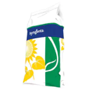 Tournesol oléique précoce - SY Arpegio