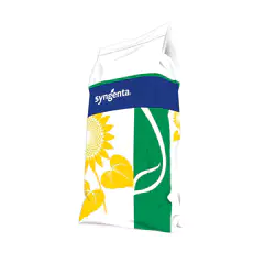 Tournesol oléique demi-précoce - SY Bolonia - CL