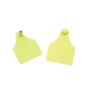 Etiquette d'oreille « Pentag » - ALLFLEX