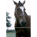 Câble lisse 2 fils - classe C 2,7 mm 200 m  - fils - rubans