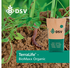 Zwischenfruchtmischung - TerraLife BioMaxx organic